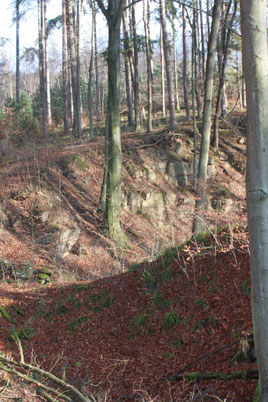 Kälberklamm - unterster Teil in Höhe Steinbrüche, am Spinnereiweg (G. Franke, 27.12.15)