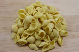 Conchiglie