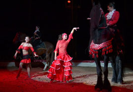 Circus Voyage Bernburg