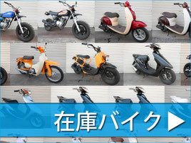 クリックして詳細を見る