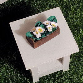 Miniatur-Primeln 1 zu 12 basteln