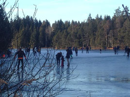 Wintersport, Langlauf, Skifahren Schneewandern