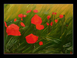 Mohn in Öl 50 x70