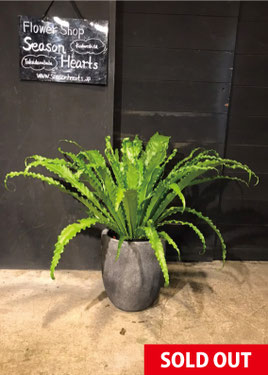 ビクトリア植木鉢