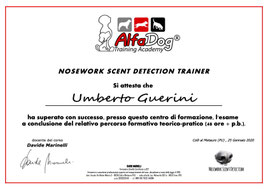 Passion for Dogs - educazione cinofila
