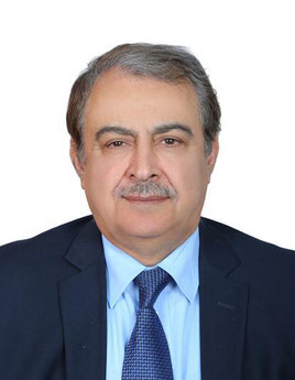 Prof. Amer Hosin