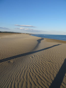 ferienhaus-gruissan-strand