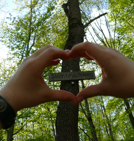 Yvonne Mayer Psychotherapie Reutlingen Rommelsbach Tübingen Heilpraktiker für Psychotherapie Körperpsychotherapie Körpertherapie IoPT Aufstellen Entwicklungstrauma Bindungstrauma Autonomie Dami Charf Franz Ruppert Franz Renggli Healy Frequenzen