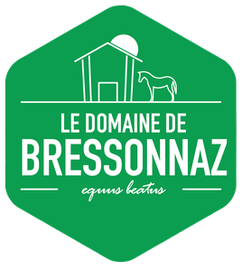 Le domaine-de-bressonnaz
