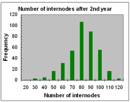 Frequency diagram for number of internodes on apple seedlings after two years of growth