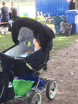 Die Siegerschleife im Kinderwagen (Foto: ARR)