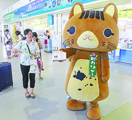 ヤマネコの事故防止をよびかけるピカリャーと関係者ら=22日午後、離島ターミナル