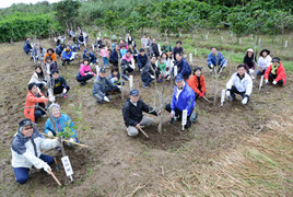 関係者約70人がサガリバナを植樹した=1月31日(提供写真)