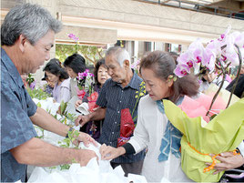 シッサスやクビナガバレリアなどの花・苗木が無料で配布された=4日午後、市民会館