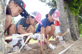 「土壌保全の日」のイベントで月桃の植栽が行われた=20日、川平