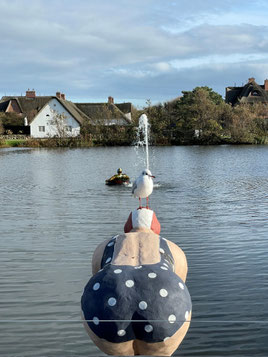 Ortsführung Wenningstedt auf Sylt. Rundgang geht auch zum Dorfteich in Wenningstedt.