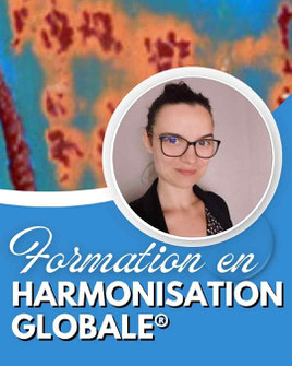 La Communication Relationnelle Comment être soi dans toutes ses relations? stage de laetitia lagarde a tours - annuaire des thérapeutes via energetica
