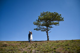 Baum pflanzen, Hochzeitsbrauch Deutschland