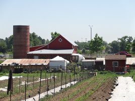 Spring Kite Farm, aux abords de Fort Collins