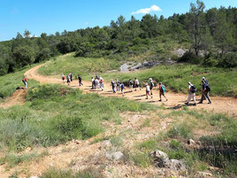 Marche d'Aniane le 2 juin 2020 - anocr34.fr