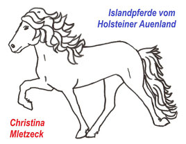 Logo Islandpferde vom Holsteiner Auenland Christina Mletzeck