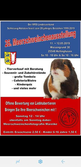 Quelle: https://www.mfd-sh.de/