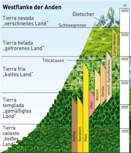 Landwirtschaft in den Anden (Quelle: diercke.westermann.de)