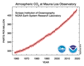 Die CO2 Konzentration der Atmosphäre steigt kontinuierlich an. NOAA