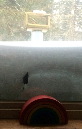 That black thing on the window is a shrew! Scampering about between the window and snow.