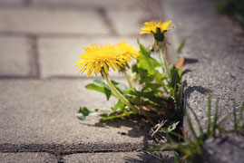 In 8 Abenden zu mehr Gelassenheit und Selbstbestimmung finden
