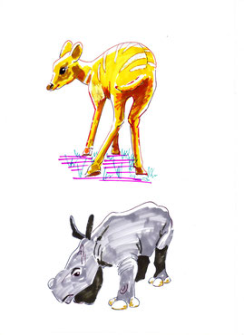 Antilope, Nashorn