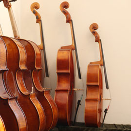 Cello in Kindergröße Bonn