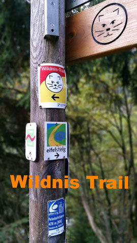Wildnis Trail iphone 7 Eifelsteig