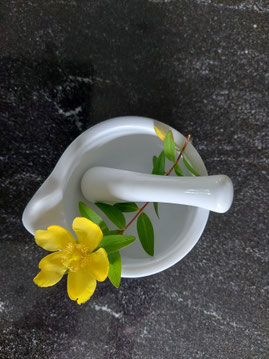 Foto: auf Granitfläche weißer Stößel in Schale mit gelber Johanniskrautblüte