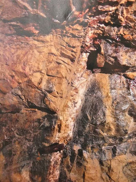 矢ノ森鉱山の石英鉱脈の写真(畠山篤雄氏撮影)
