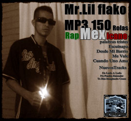 Página web de mrlilflako