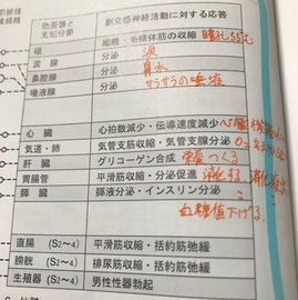 小牧 鍼灸 鍼治療 腰痛 自律神経