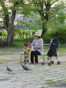 鳩ぽっぽへ餌やりの親子連れ。のどかな昼下がり…*