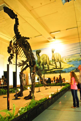 Musée de l'Iguanodon