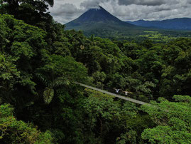 Transportation, hanging bridges, canopy tour, hot springs