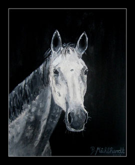 Pferdeportrait in Öl 30 x 40