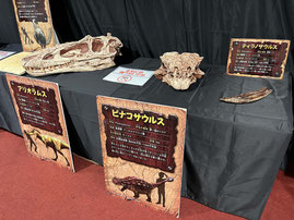 恐竜展