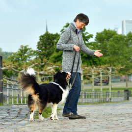 Frau führt Hund an der Leine am Mainufer in Frankfurt.