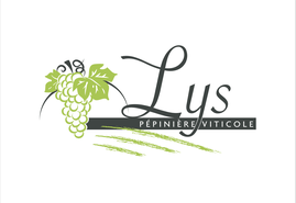 producteur de plants de vigne et de fraises 17