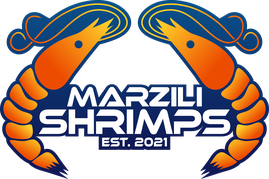 Marzili Shrimps Logo