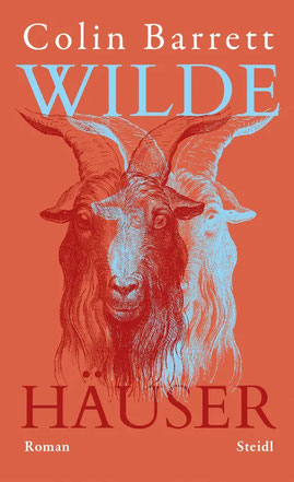Colin Barrett - Wilde Häuser