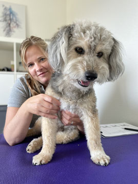 Tierphysio und -Osteopathie