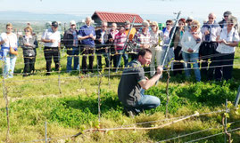 Arndt Köbelin erklärt den Villingern seine ökologische Arbeit im Weinberg