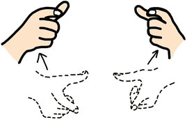 rappresentazione grafica del segno VASO (lingua dei segni italiana) di Francesca Romana Rosa