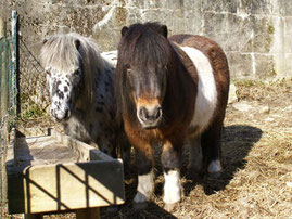 Max und Moritz